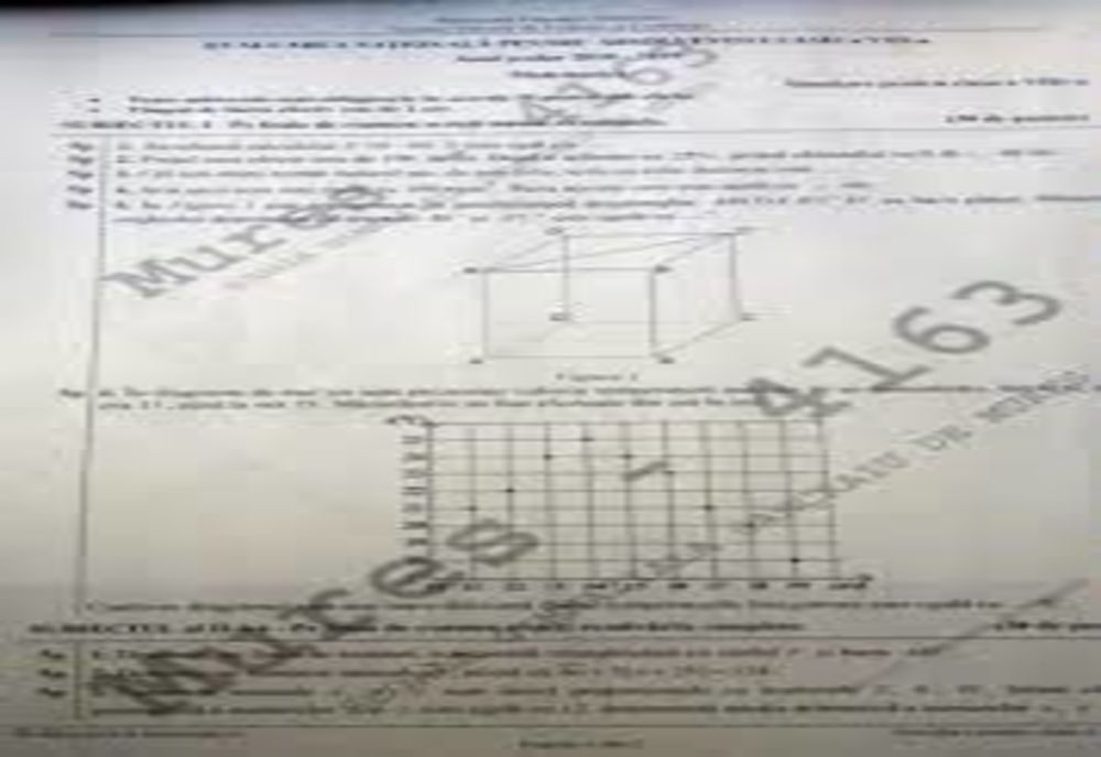 Simularea Evaluării Naționale și simularea Bacalaureatului 2020 începe în 23 martie