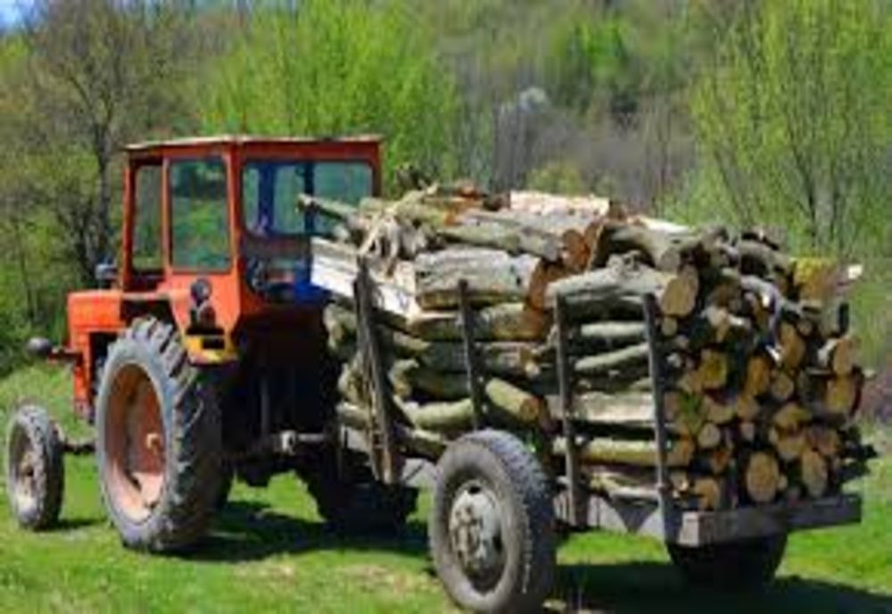 Amenzi de peste 40.000 de lei și material lemnos confiscat