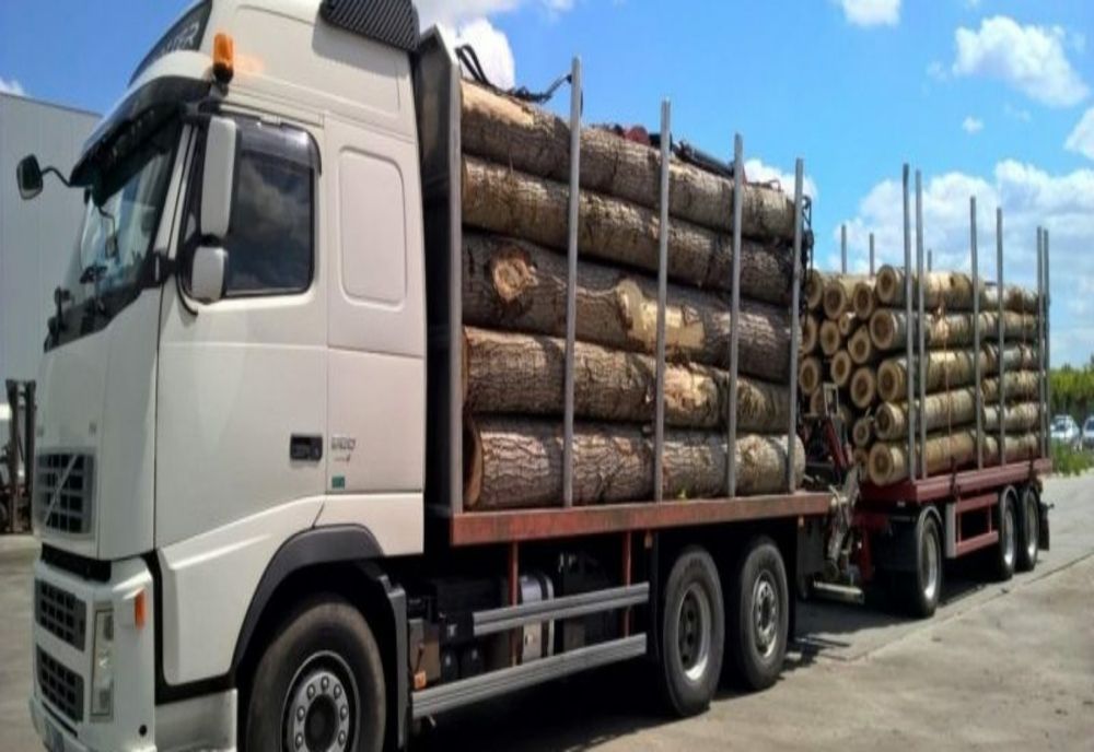 Material lemnos confiscat de polițiști și amenzi de 20.000 de lei