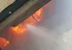 Mai multe animale au ars de vii din cauza unui incendiu de vegetaţie uscată