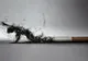 Fumezi? Te privește! De la începutul anului, 214 băcăuani au plătit cu viața pentru acest viciu