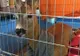 GALERIE FOTO: Postarea revoltătoare a unei tinere din Bacău, care arată câte piedici poți întâmpina ca să salvezi o viață