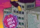 Astăzi începe Festivalul Național de Teatru I.D. Fest 20 la Teatrul Municipal „Bacovia”. Urmează zece zile de teatru, improvizație, stand-up comedy și proiecții de film