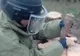 FOTO: Arbore "exploziv", descoperit la Dofteana. O bombă era înfiptă în trunchiul copacului