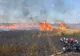 11 incendii de vegetație uscată s-au manifestat în ultimele 24 de ore în Județul Bacău