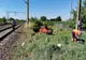 Trei morți și doi răniți în urma unui accident feroviar (FOTO)