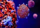 Bilanț coronavirus 11 octombrie: 2.880 de noi cazuri și 53 de decese