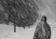 Informare meteo de ninsori, în toată țara, până miercuri dimineața