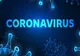 Bilanț coronavirus 8 septembrie: 2.079 de cazuri noi, 30 de decese. Care este situația în județe