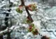 Vremea 23 februarie - Temperaturi în scădere în majoritatea zonelor