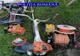 Hoț de găini și motofierăstraie, prins de polițiști