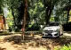 Ce a pățit un șofer de Mercedes care și-a parcat mașina într-un părculeț din Bacău