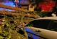 Arbori căzuți din cauza furtunii! Au intervenit pompierii
