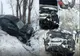 Polițiștii au căutat în sacii cu gunoi pentru identificarea celor care i-au aruncat la întâmplare