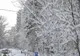 Astăzi temperaturile maxime vor varia.Sunt anunțate și ninsori. Care sunt zonele vizate