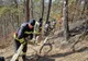 Incendiu la pădurea de pini din Oituz. Pompierii supraveghează zona