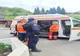 Bărbat atacat de ursoaică! Care a fost norocul său