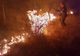 Zecile  de incendii de vegetație uscată din ultima vreme i-au adus pe pompierii din Bacău în pragul disperării