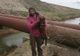 VIDEO: Mieluț salvat după ce a căzut în canal. Dacă nu mai face vreo boacănă, până la Paște este viu și nevătămat
