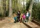 Așa da! Turiștii care au luat la pas traseele din jurul stațiunii Slănic Moldova au lăsat natura curată