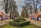 A patra încercare: parc sau bâlci? Soarta Parcului „Cancicov”, în mâinile consilierilor locali din Bacău