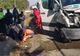 Cum s-a produs accidentul de la Dumbrava. Șoferul microbuzului, vinovat pentru tot ce s-a întâmplat