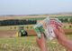 Sprijin financiar pentru agricultori: 250 fermieri vor primi 24 milioane lei