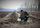Romsilva va planta 19 milioane de puieţi forestieri în Mureş, Maramureş, Neamţ, Bacău şi Suceava