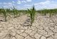 Secetă extremă în mai multe județe, în următoarea săptămână. Avertismentul meteorologilor