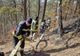 Incendiu la pădurea de pini din Oituz. Pompierii supraveghează zona