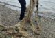 Peste 20 de kilograme de pește, eliberate în mediul natural de jandarmii băcăuani